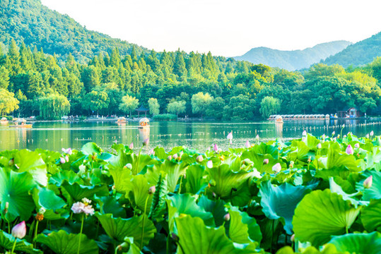 西湖風(fēng)光