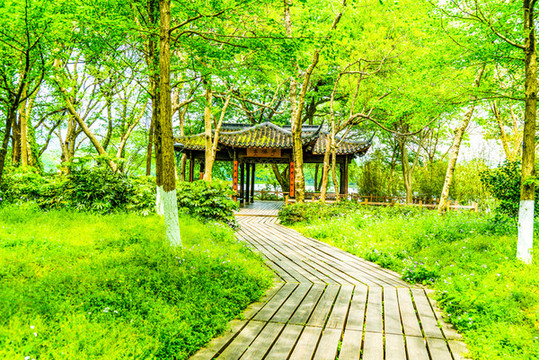 西湖園林古建筑