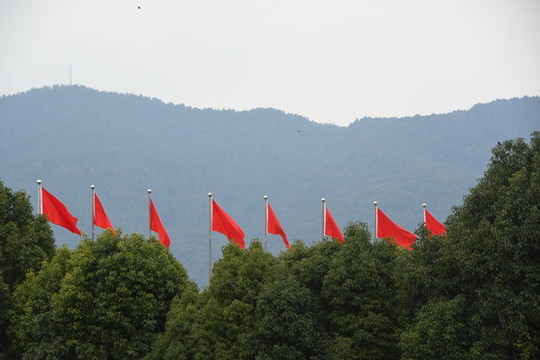 飄旗