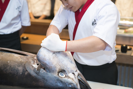 分解藍鰭金槍魚特寫