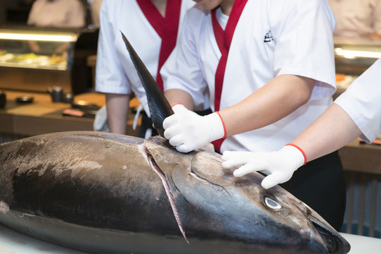 分解藍鰭金槍魚特寫
