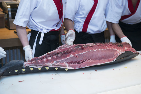 分解藍鰭金槍魚特寫