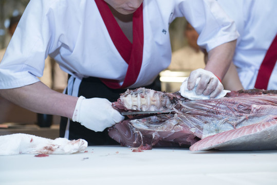 分解藍(lán)鰭金槍魚特寫