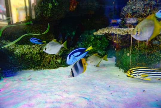 水族館