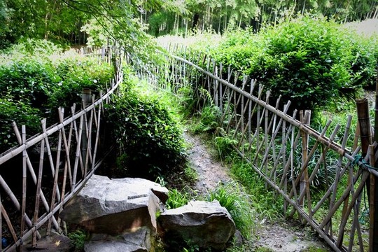 田園柵欄
