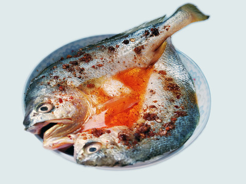 大黃魚