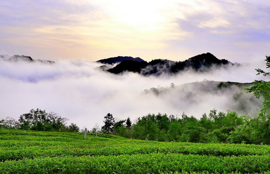 龍王埡風(fēng)光67