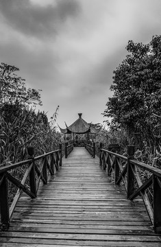 沙家浜蘆葦蕩