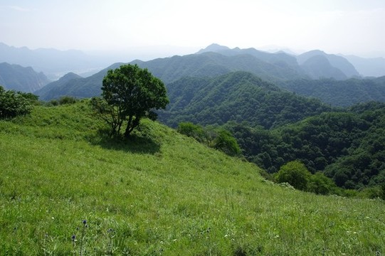 太行山風(fēng)光