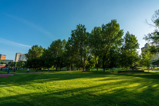 公園