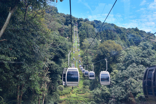 雅安蒙頂山觀光纜車