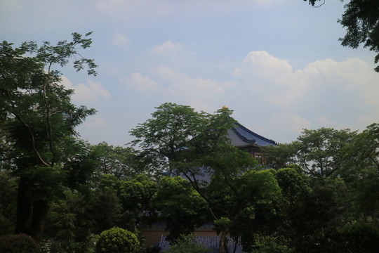 清樹遠(yuǎn)景