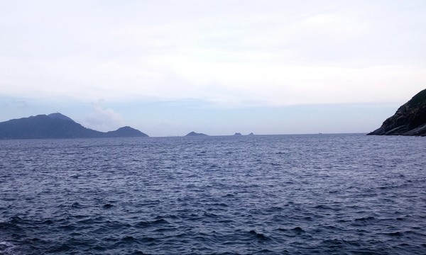 大海海洋