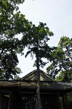 承德避暑山莊