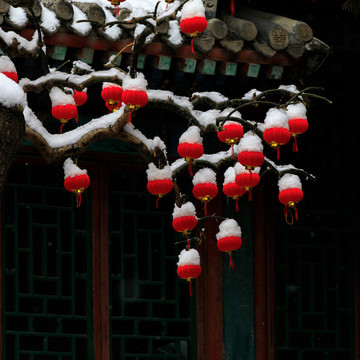 風(fēng)雪頤和園