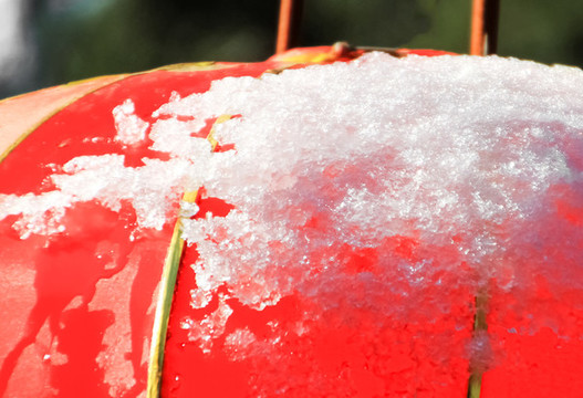 雪染的風(fēng)采