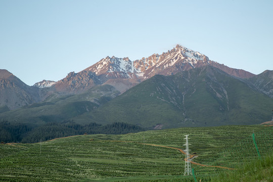 祁連牛心山
