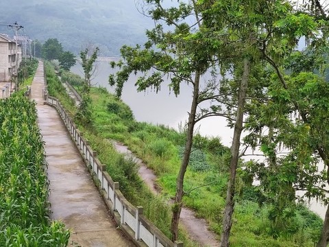 河堤護(hù)欄