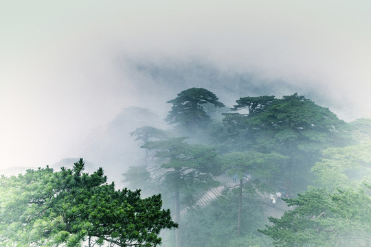 黃山