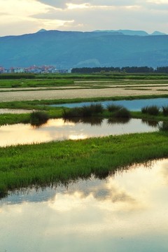 濕地晚霞