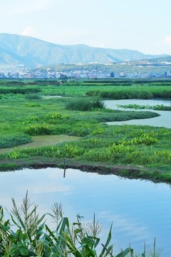 會澤鄉(xiāng)村