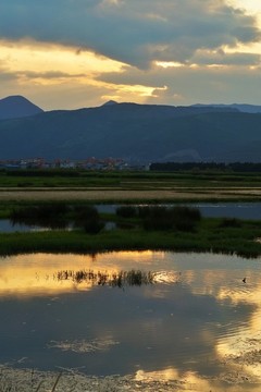 濕地晚霞