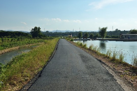 柏油路