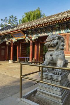 北京大學(xué)