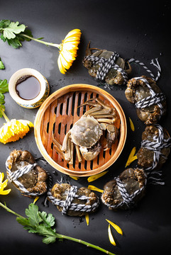 陽澄湖大閘蟹