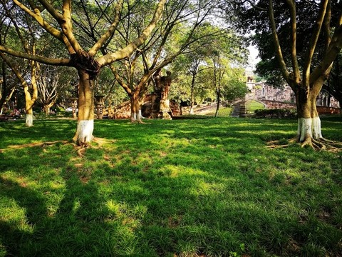 公園綠草地