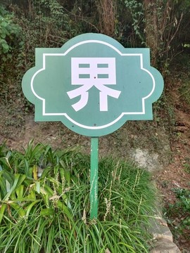 戶外花草牌特寫