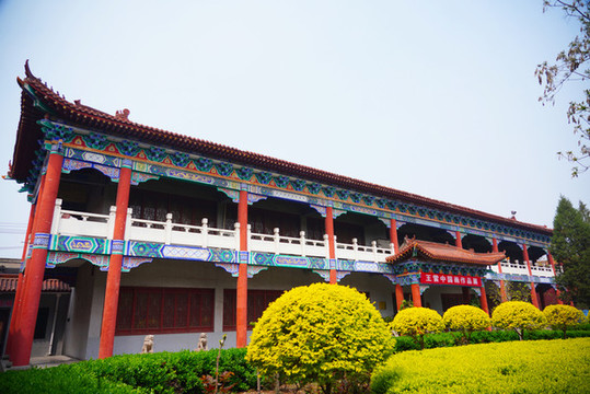 公園植物