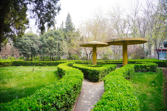 公園植物