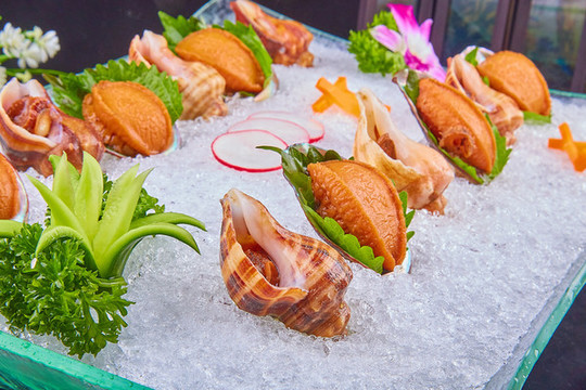 冰鎮(zhèn)鮑魚海螺