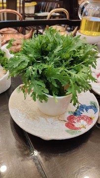 涮鍋茼蒿