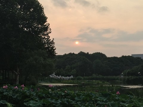 解放公園