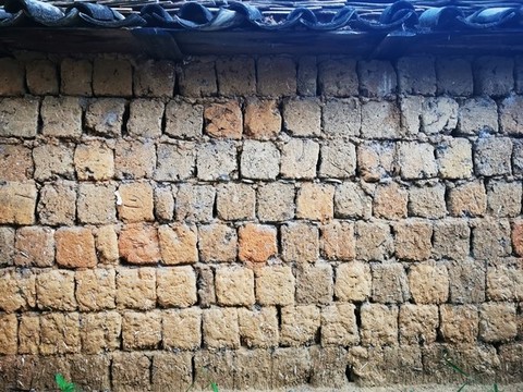 土坯墙上的瓜藤叶背景墙体素材