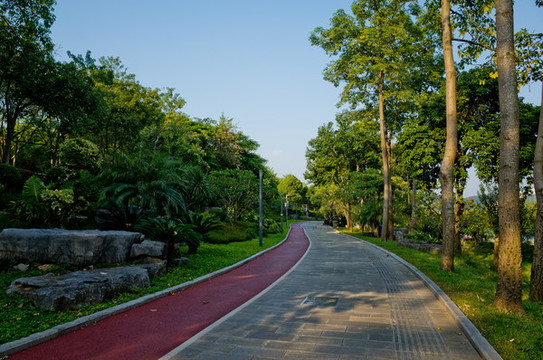 公園小路