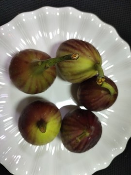 云南紅皮無(wú)花果