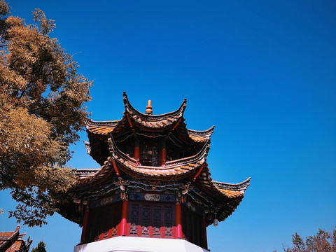 翠湖公園剪影