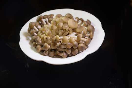 火鍋菌類