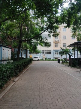 小區(qū)地磚道路