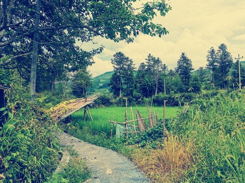 乡间小路