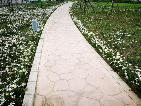 公園小道