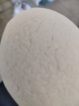 大福餅