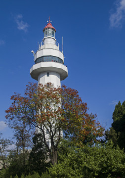 燈塔
