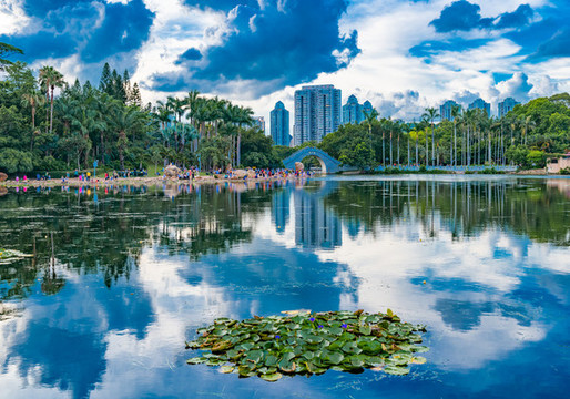 深圳荔枝公園城市風(fēng)光