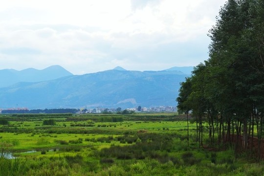 田園風(fēng)光