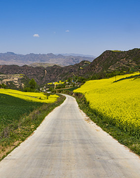 美麗山路