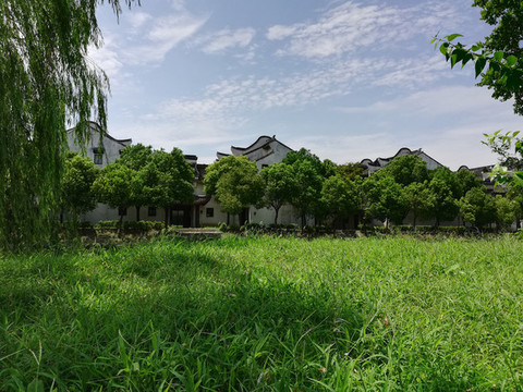 綠色草坪